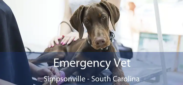 Emergency Vet Simpsonville - South Carolina