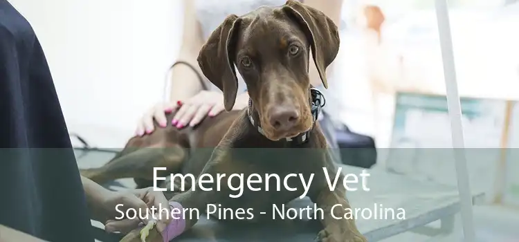 Emergency Vet Southern Pines - North Carolina