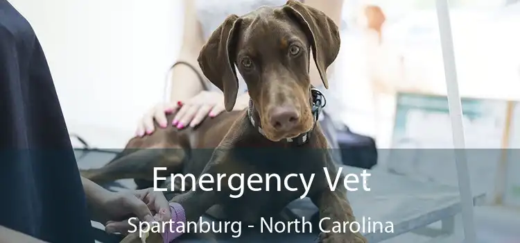 Emergency Vet Spartanburg - North Carolina