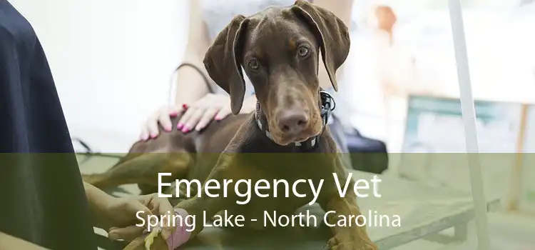 Emergency Vet Spring Lake - North Carolina