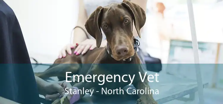Emergency Vet Stanley - North Carolina