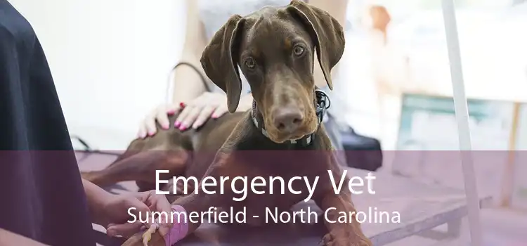 Emergency Vet Summerfield - North Carolina
