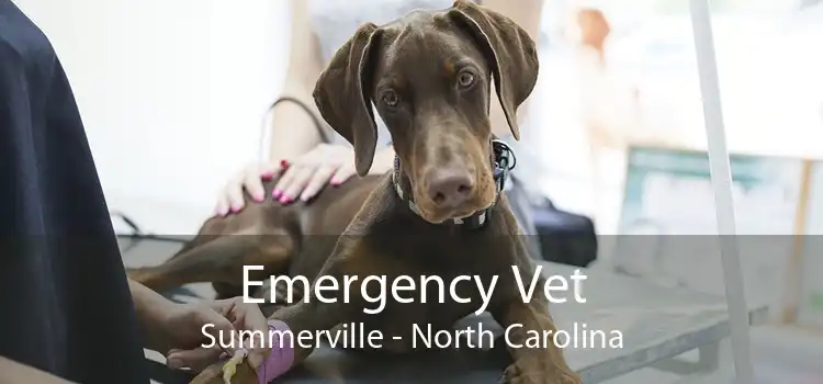Emergency Vet Summerville - North Carolina
