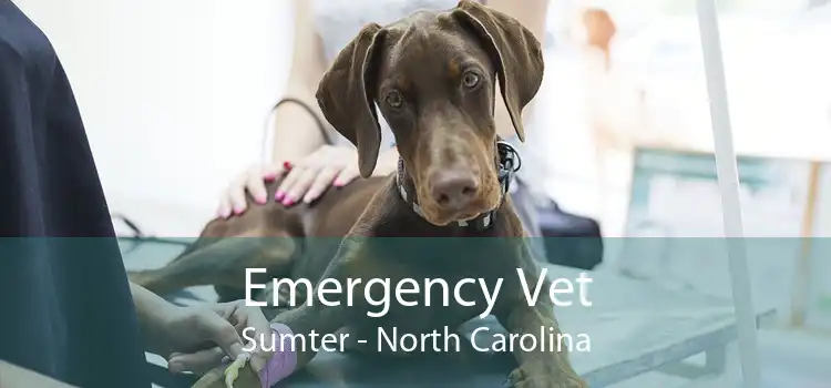 Emergency Vet Sumter - North Carolina