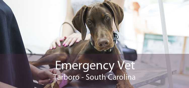 Emergency Vet Tarboro - South Carolina