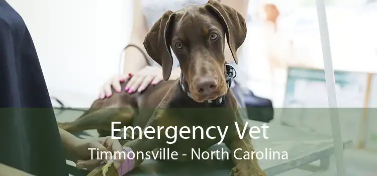 Emergency Vet Timmonsville - North Carolina