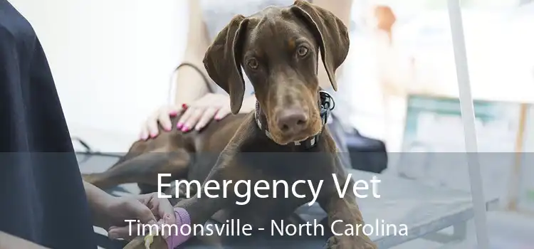 Emergency Vet Timmonsville - North Carolina