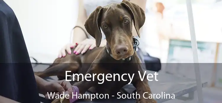 Emergency Vet Wade Hampton - South Carolina