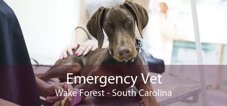 Emergency Vet Wake Forest - South Carolina