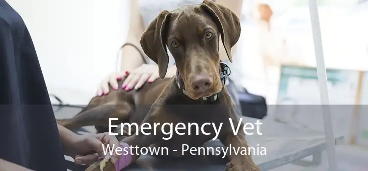 Emergency Vet Westtown - Pennsylvania