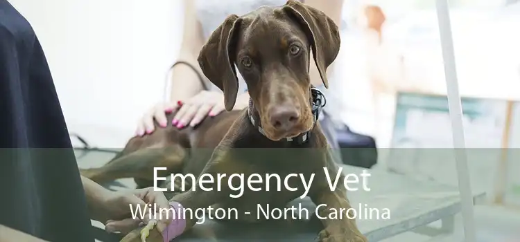 Emergency Vet Wilmington - North Carolina