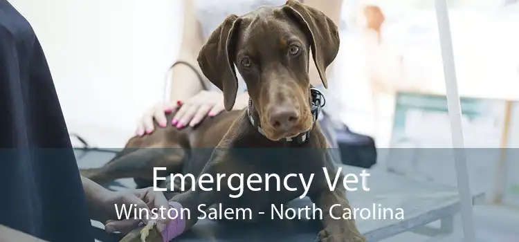Emergency Vet Winston Salem - North Carolina