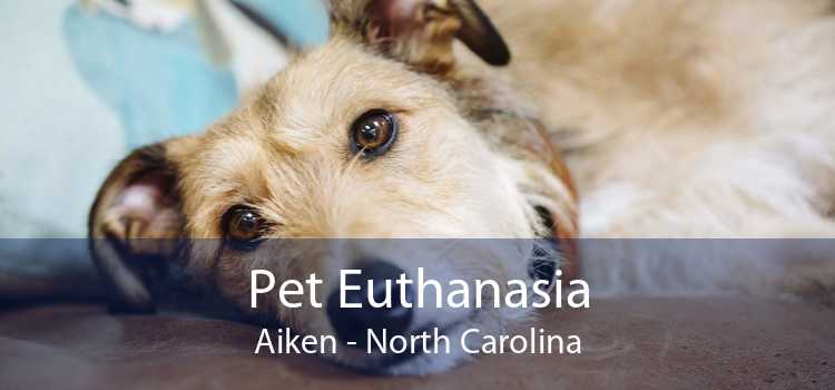 Pet Euthanasia Aiken - North Carolina