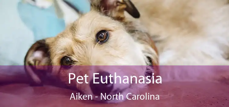 Pet Euthanasia Aiken - North Carolina