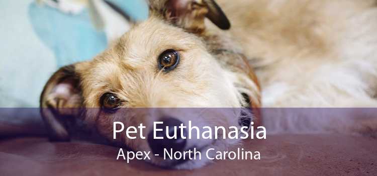 Pet Euthanasia Apex - North Carolina
