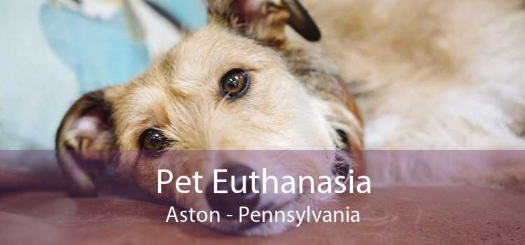 Pet Euthanasia Aston - Pennsylvania