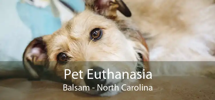 Pet Euthanasia Balsam - North Carolina