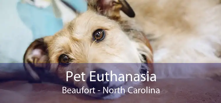 Pet Euthanasia Beaufort - North Carolina