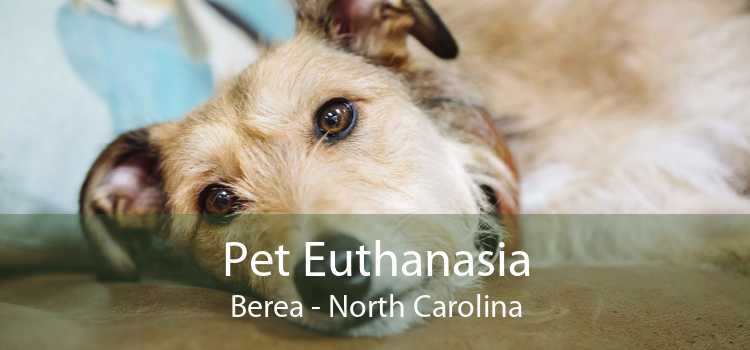 Pet Euthanasia Berea - North Carolina