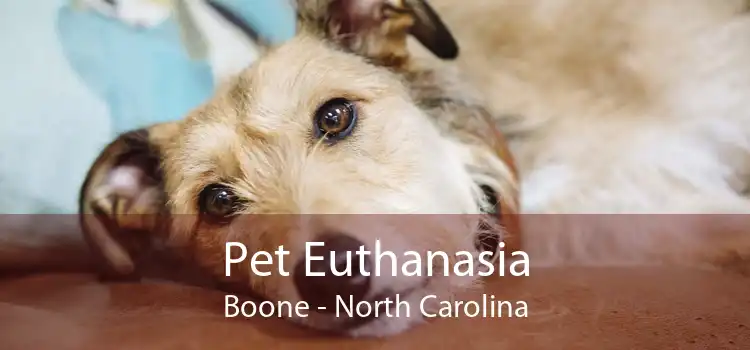 Pet Euthanasia Boone - North Carolina