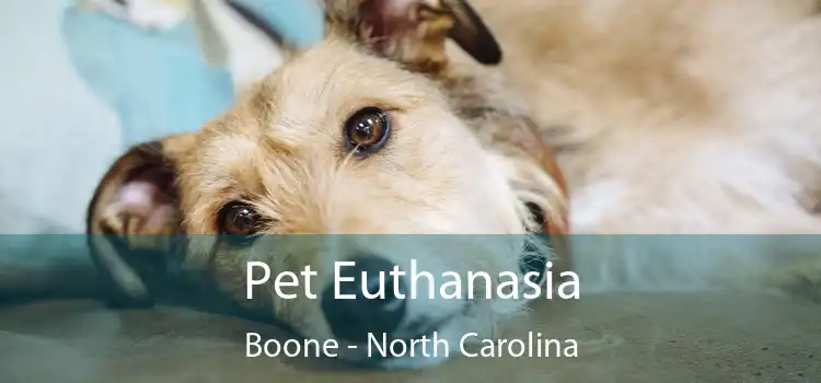 Pet Euthanasia Boone - North Carolina