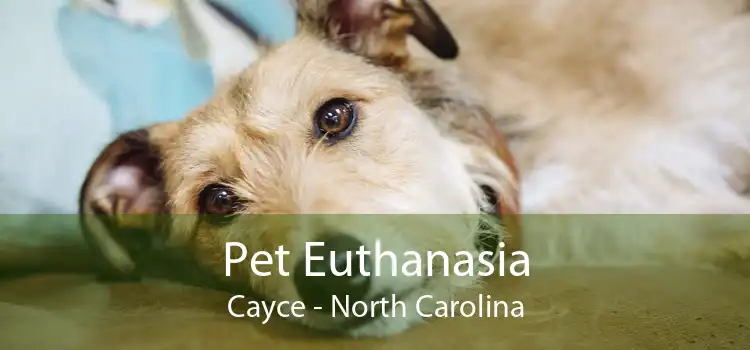 Pet Euthanasia Cayce - North Carolina