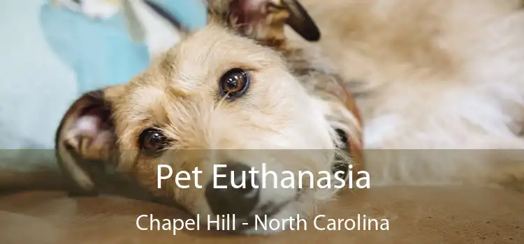 Pet Euthanasia Chapel Hill - North Carolina