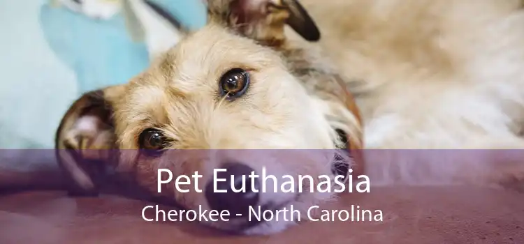 Pet Euthanasia Cherokee - North Carolina
