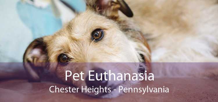 Pet Euthanasia Chester Heights - Pennsylvania