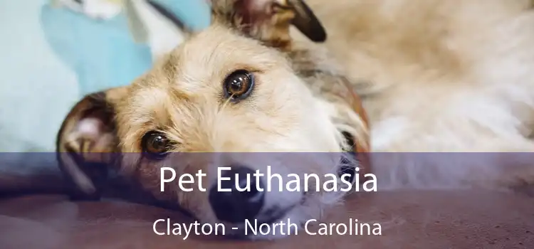 Pet Euthanasia Clayton - North Carolina