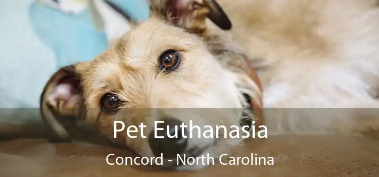 Pet Euthanasia Concord - North Carolina