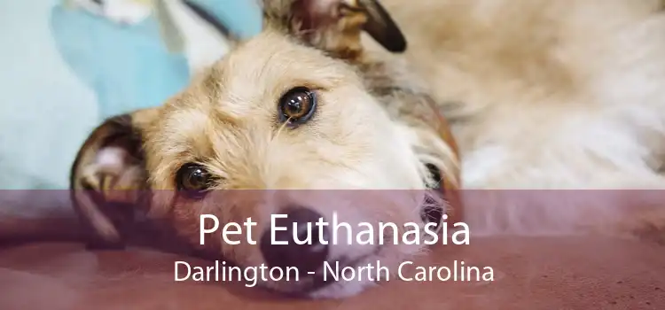 Pet Euthanasia Darlington - North Carolina