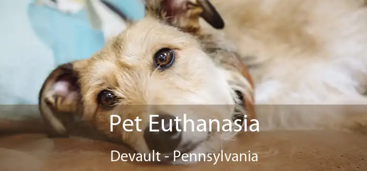 Pet Euthanasia Devault - Pennsylvania