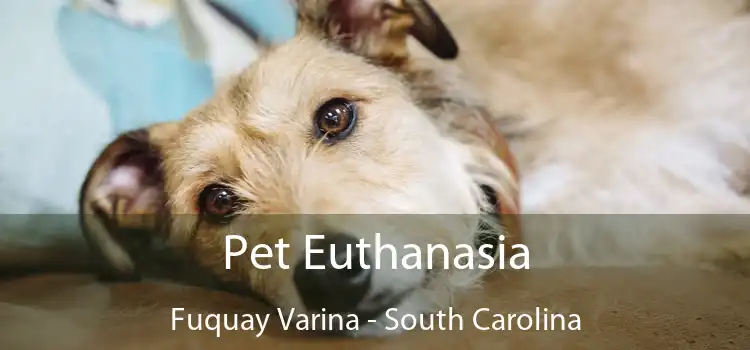 Pet Euthanasia Fuquay Varina - South Carolina