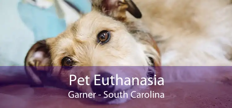 Pet Euthanasia Garner - South Carolina