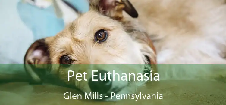Pet Euthanasia Glen Mills - Pennsylvania