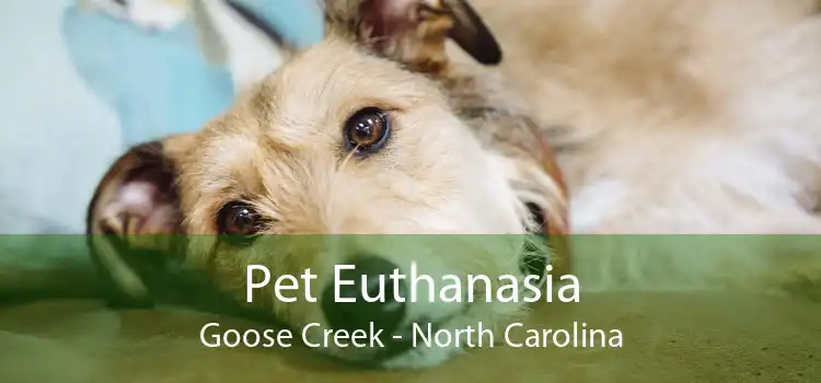 Pet Euthanasia Goose Creek - North Carolina