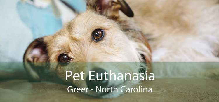 Pet Euthanasia Greer - North Carolina
