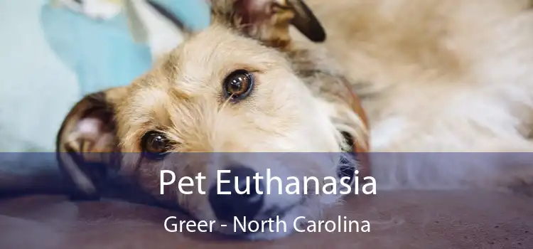 Pet Euthanasia Greer - North Carolina