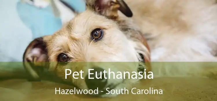 Pet Euthanasia Hazelwood - South Carolina