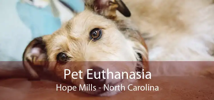 Pet Euthanasia Hope Mills - North Carolina