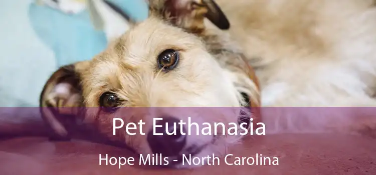 Pet Euthanasia Hope Mills - North Carolina