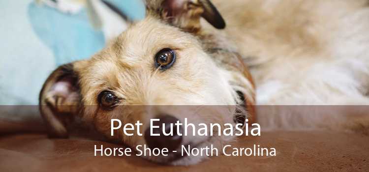 Pet Euthanasia Horse Shoe - North Carolina