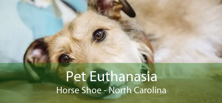 Pet Euthanasia Horse Shoe - North Carolina