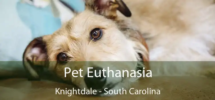 Pet Euthanasia Knightdale - South Carolina