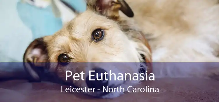 Pet Euthanasia Leicester - North Carolina