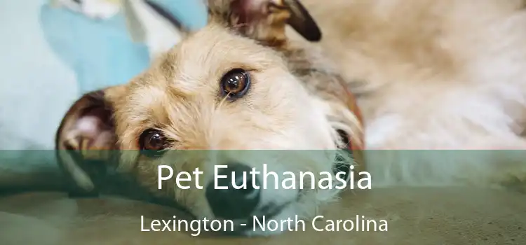 Pet Euthanasia Lexington - North Carolina