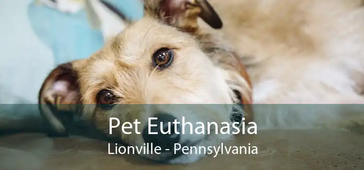 Pet Euthanasia Lionville - Pennsylvania