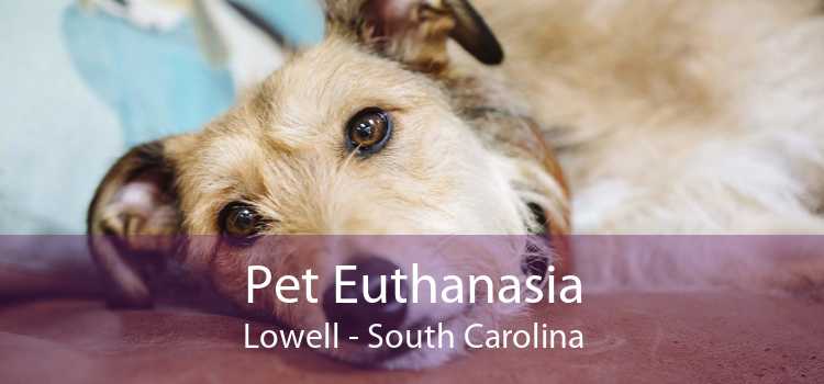 Pet Euthanasia Lowell - South Carolina