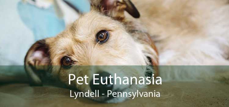 Pet Euthanasia Lyndell - Pennsylvania